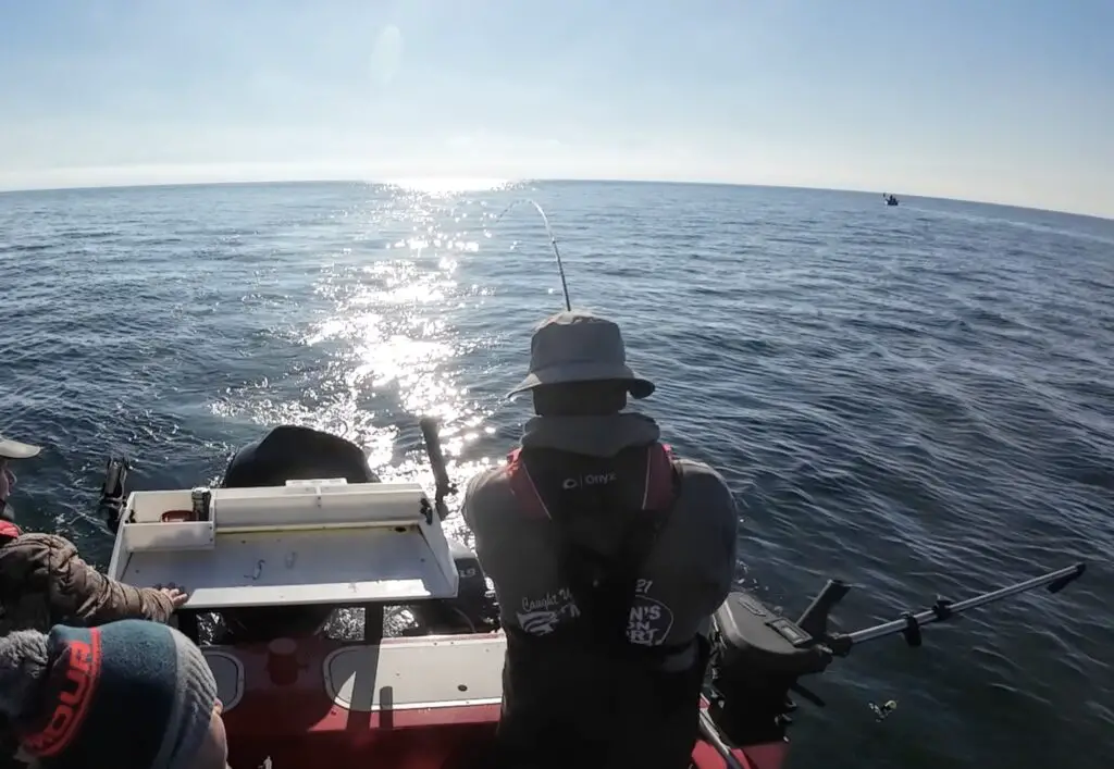 Hooking a nice blackmouth chinook spring in Canadian waters in January 2025