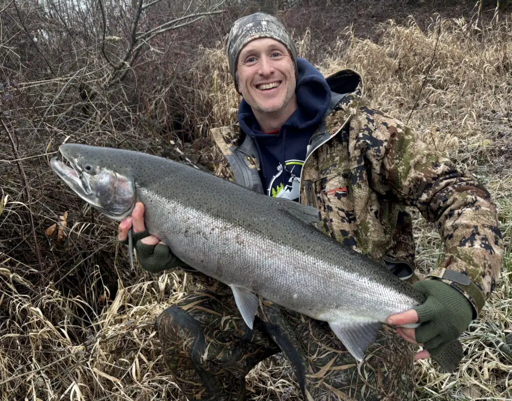 Really nice steelhead