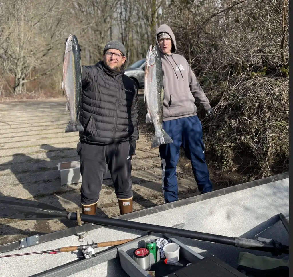 Steelhead after drift boat trip in SW Washington