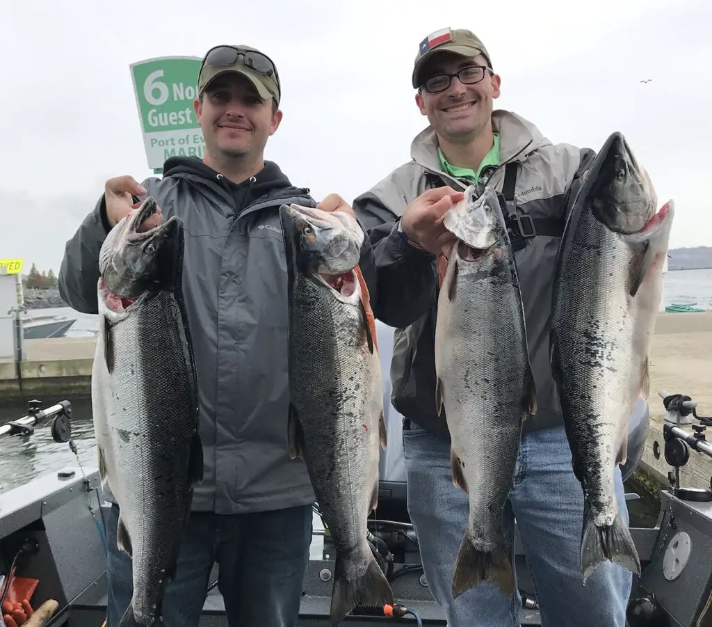 Limits of coho salmon during the salmon for soldiers event