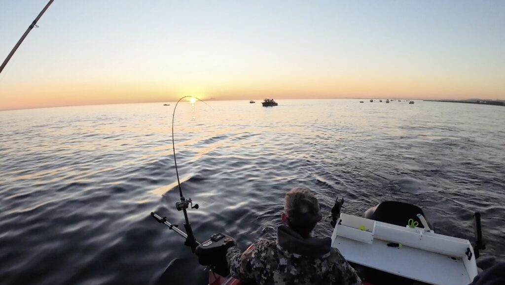 Sunrise Port Angeles ediz hook troll