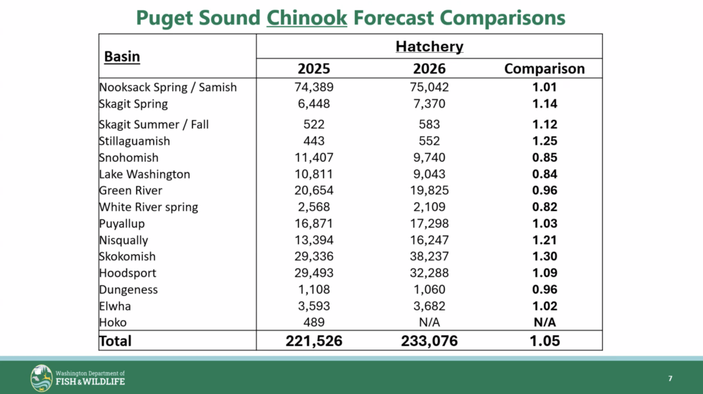 2026 Puget sound chinook hatchery forecast comparisons