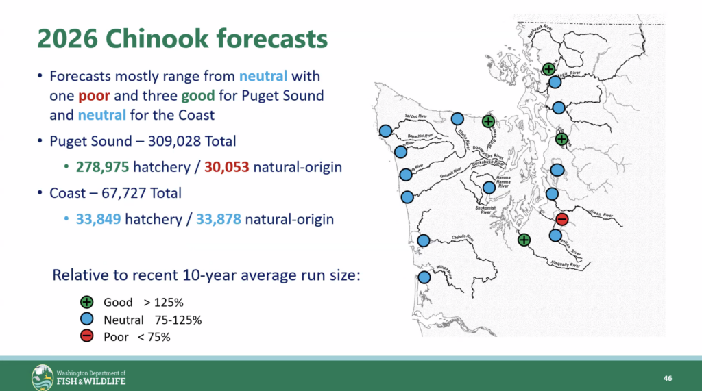 2026 chinook forecast map
