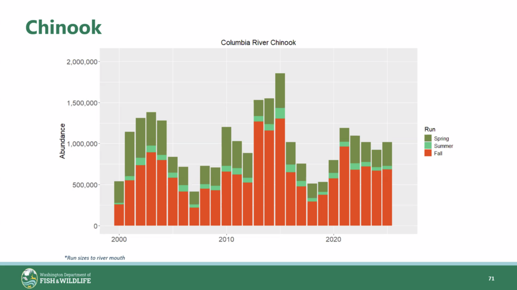 2026 columbia river chinook historical runsize