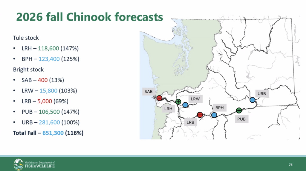 2026 columbia river fall chinook forecasts