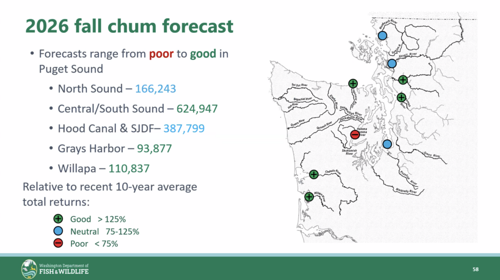2026 fall chum forecast