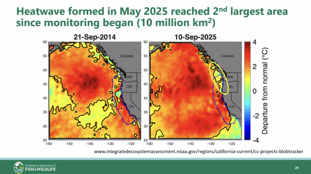 2026 nof env slide 9 heatwave formed in may 2025 reached 2nd largest