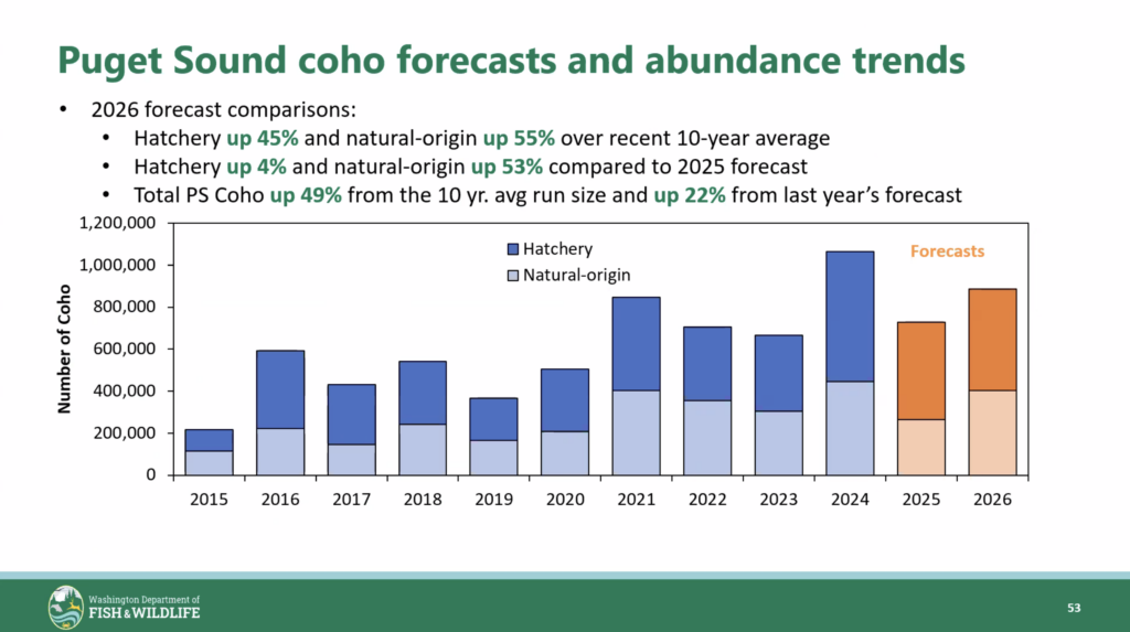 2026 puget sound coho forecast and abundance trends