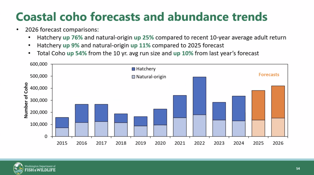 2026 wa coastal coho forecast and abundance trends