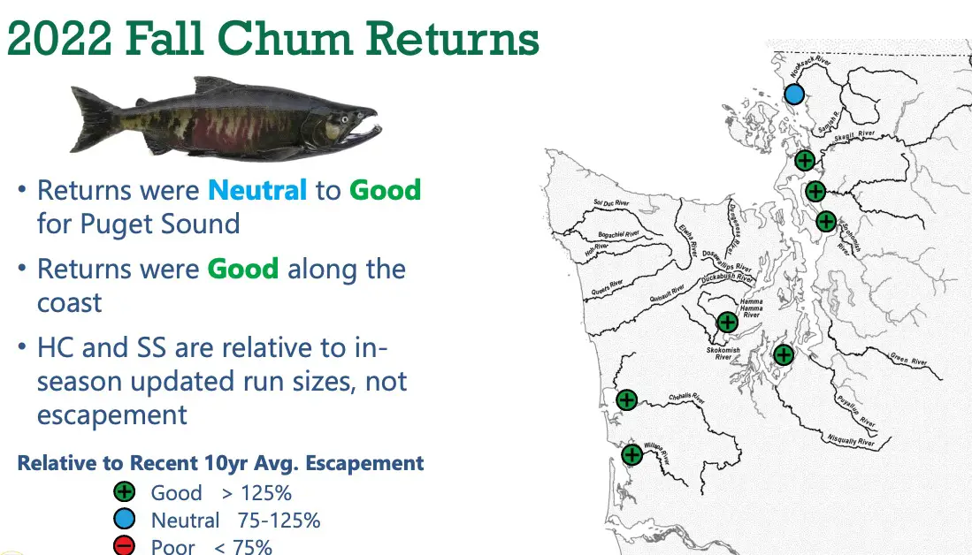 2022 all chum returns map