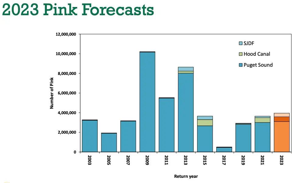 2023 all pink forecast chart