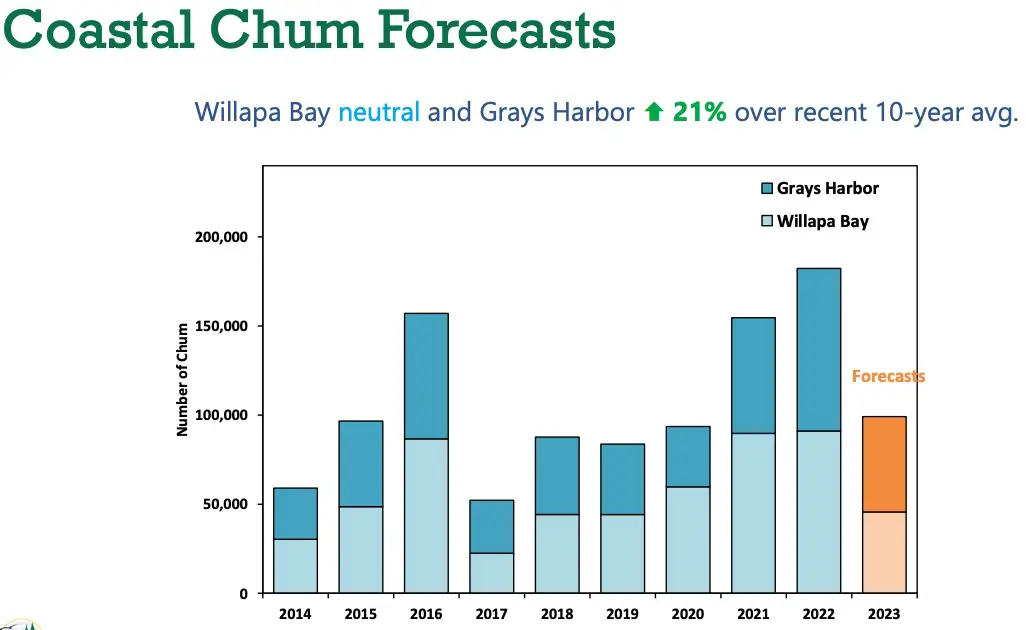 2023 coast chum forecast chart