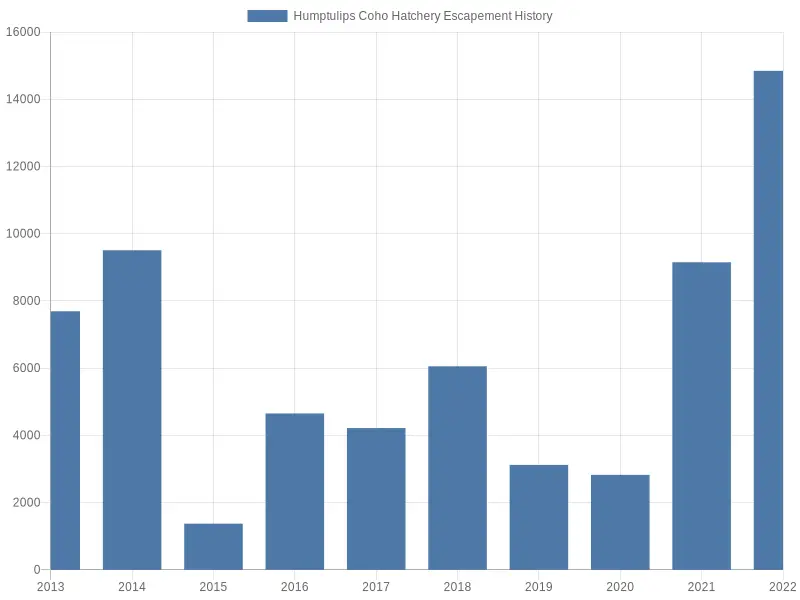 Humptulips Coho Escapement History 2023