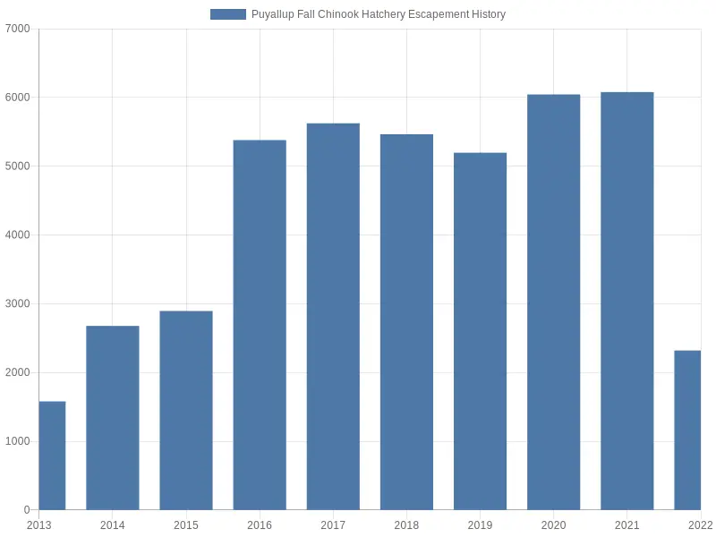 Puyallup Fall Chinook Escapement History 2023