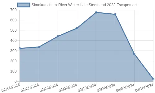 Skookumchuck River Fishing Trip Planning – PNW BestLife